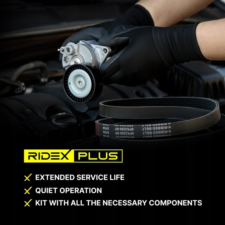 RIDEX PLUS 542R0174P KIT COURROIE CUNÉIFORME POLYWEDGE