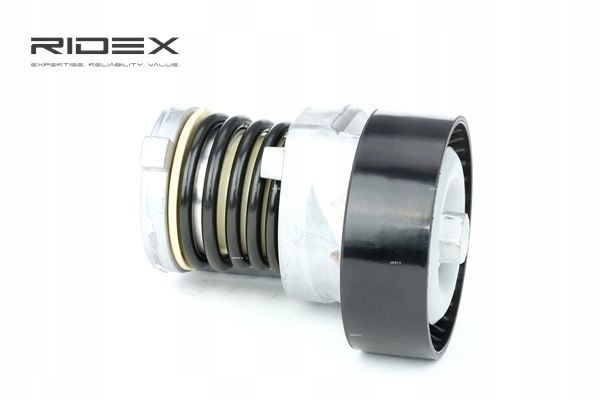 RIDEX 541V0005 TENDEUR COURROIE CUNÉIFORME POLYWEDGE VERS VW POLO (9N)