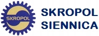 PIVOT ESSIEUX OKRAGLEJ ST URSUS C-360 C-355 SKROPOL