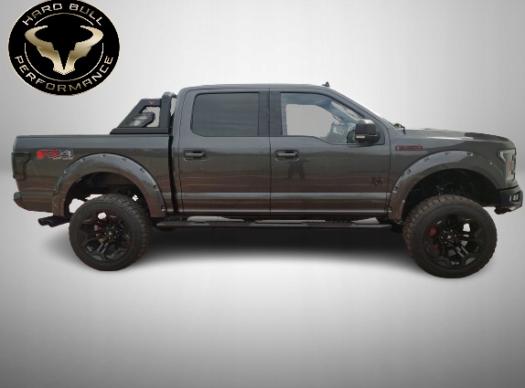 ROLL BAR CANALISATIONS HARD BULL PERFORMANCE DODGE RAM 1500 09-24 CR08