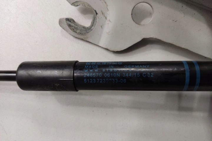 GAUCHE CHARNIÈRE CAPOTS BMW 4 CABRIO (F33, F83) 7336699 3.0L DIESEL 190KW 2016