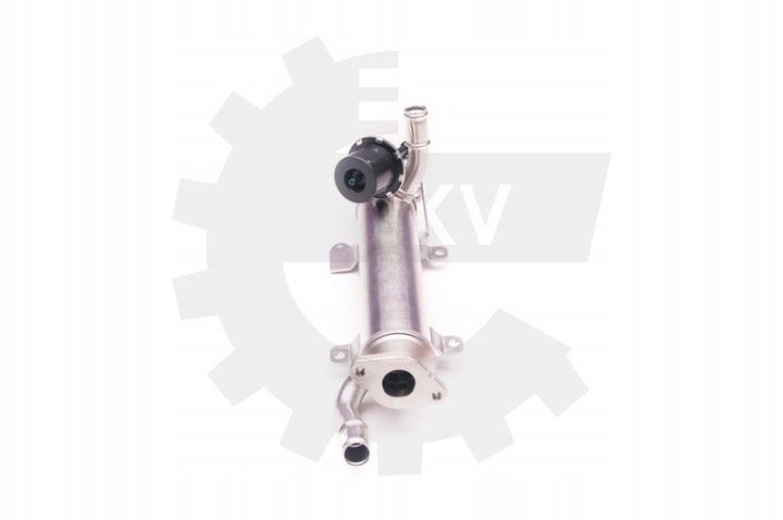 RADIATEUR SOUPAPE EGR ESEN SKV 14SKV123 AUDI SEAT