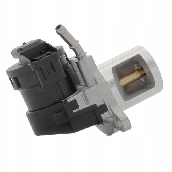 RIDEX 1145E0078 SOUPAPE AGR