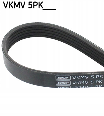 SKF VKMV 5PK1240 BELT WEDGE MULTI-RIBBED SKF VK photo 2 - milautoparts-fr.ukrlive.com