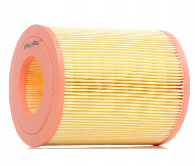 RIDEX 8A0094 FILTRE AIR VERS MERCEDES-BENZ A-KLASSE (W168) VANEO (414)