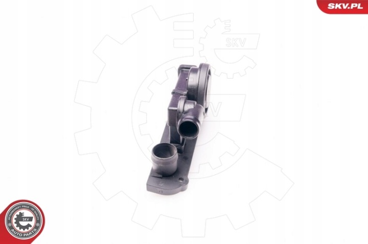 31SKV002/SKV SOUPAPE EMPHYSÈME AUDI/VW 2.0 FSI/TFSI