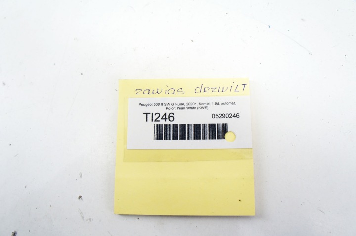 TI246 PEUGEOT 508 II CHARNIÈRES PORTES GAUCHE ARRIÈRE PEARL WHITE KWE ENSEMBLE 2PCS