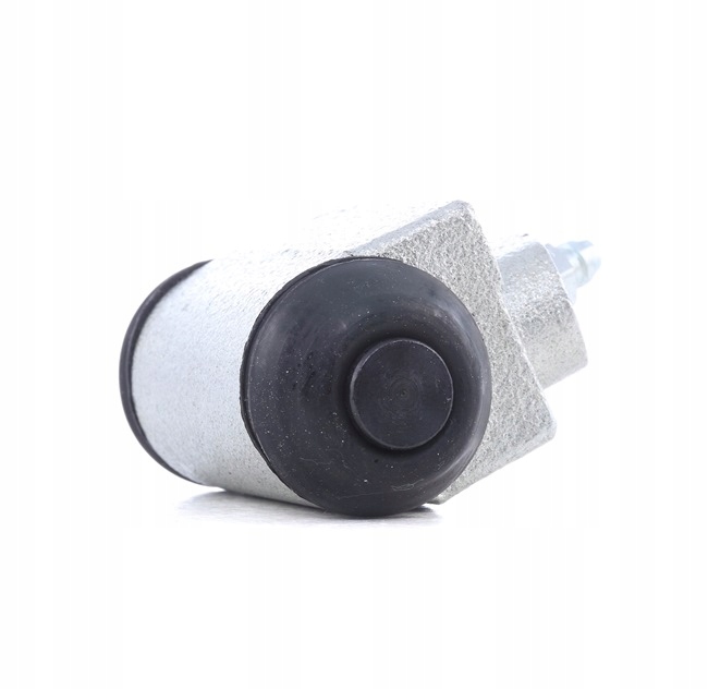 RIDEX 277W0023 PISTON DE FREIN VERS FORD FOCUS (DAW, DBW) GRANADA (GU)