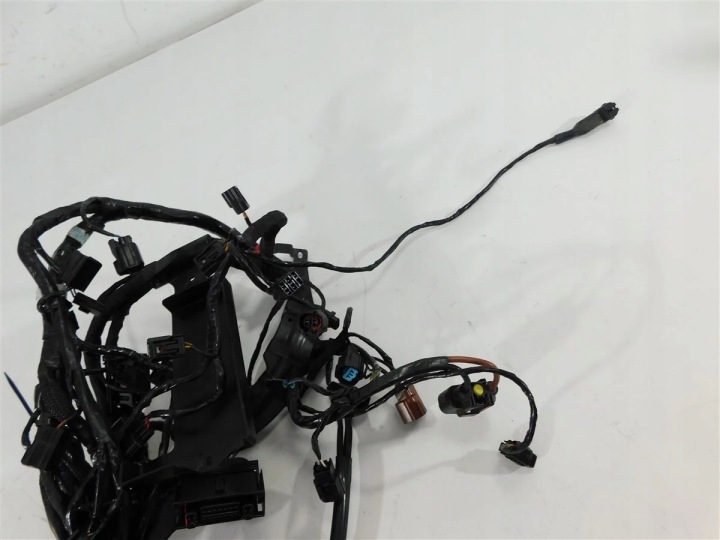 INSTALLATION ÉLECTRIQUE ÉLECTRIQUE FAISCEAU DE CÂBLES TRIUMPH STREET TRIPLE 765 R 17-19 U-11 T25076
