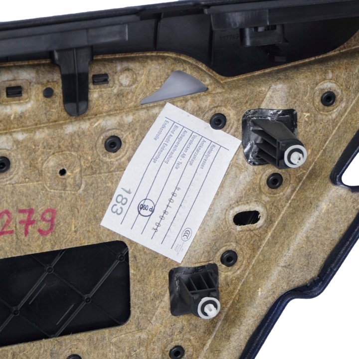 BMW F10 F11 GARNITURE COLLECTEUR PORTES GAUCHE ARRIÈRE CUIR
