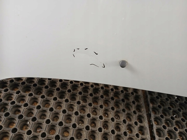 RENAULT CLIO II LIFT CAPOT OV639
