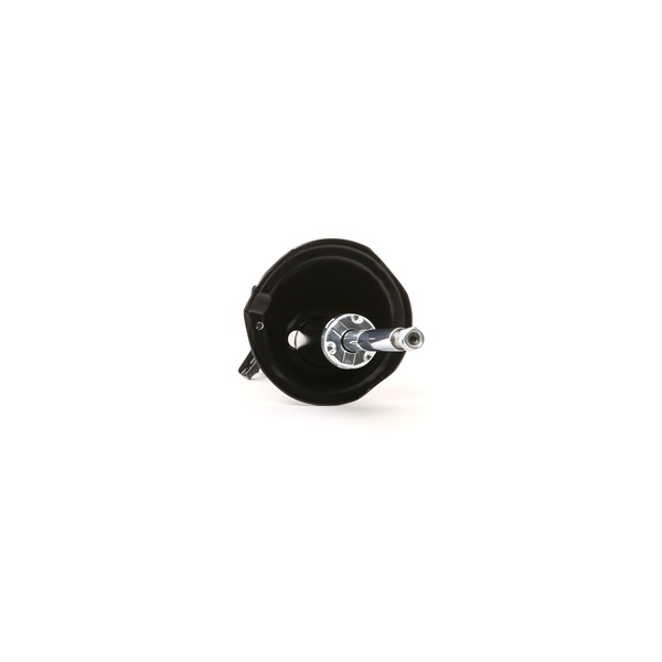 RIDEX 854S0733 AMORTISSEUR GAZEUX ENTRETOISE SUSPENSIONS AVANT LEWO