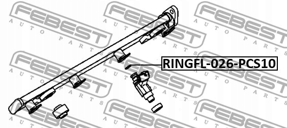 ANILLO COMPACTADOR BOQUILLA COMBUSTIBLES PCS 10 FEBEST RINGFL-026-PCS10 