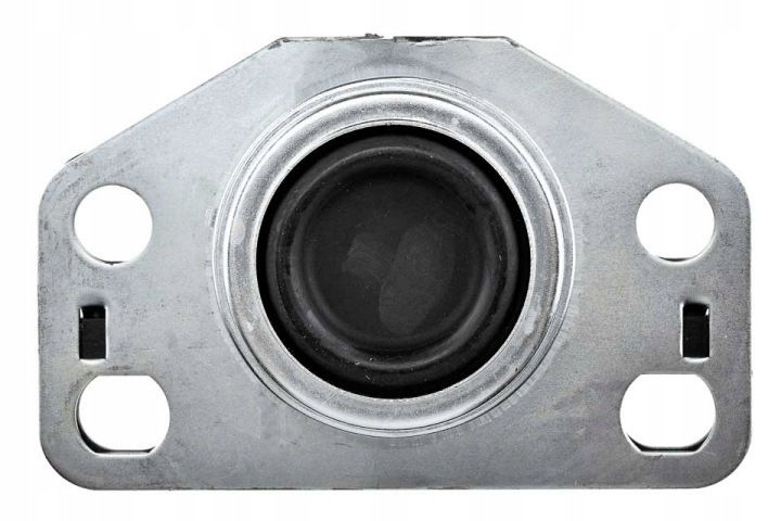 COUSSIN MOTEUR HUILEUX ZPS-RE-039 NTY