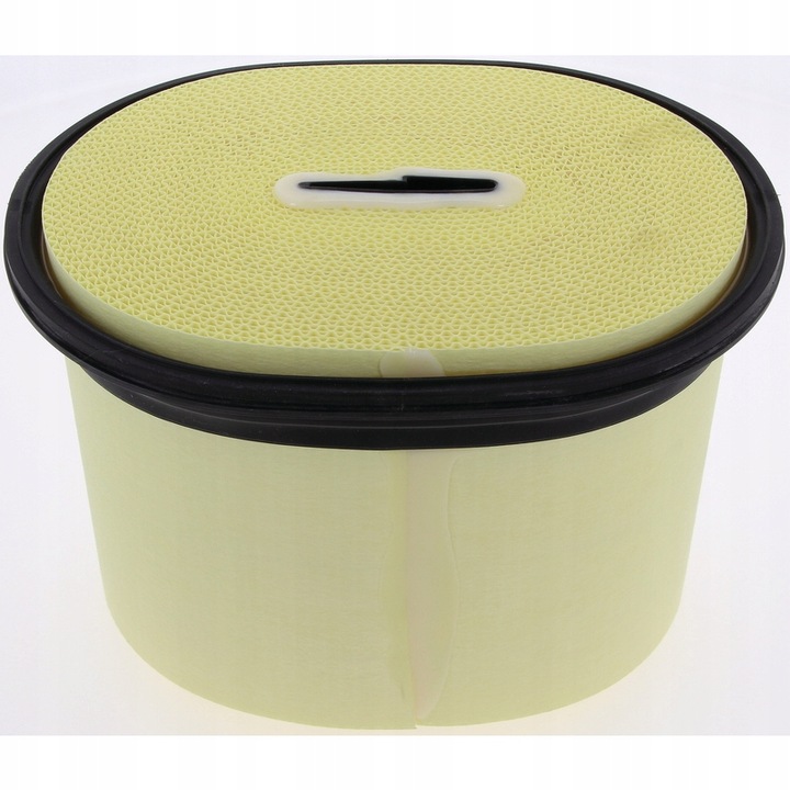 FILTER AIR CP29550/MAN MANN FILTERS photo 7 - milautoparts-fr.ukrlive.com