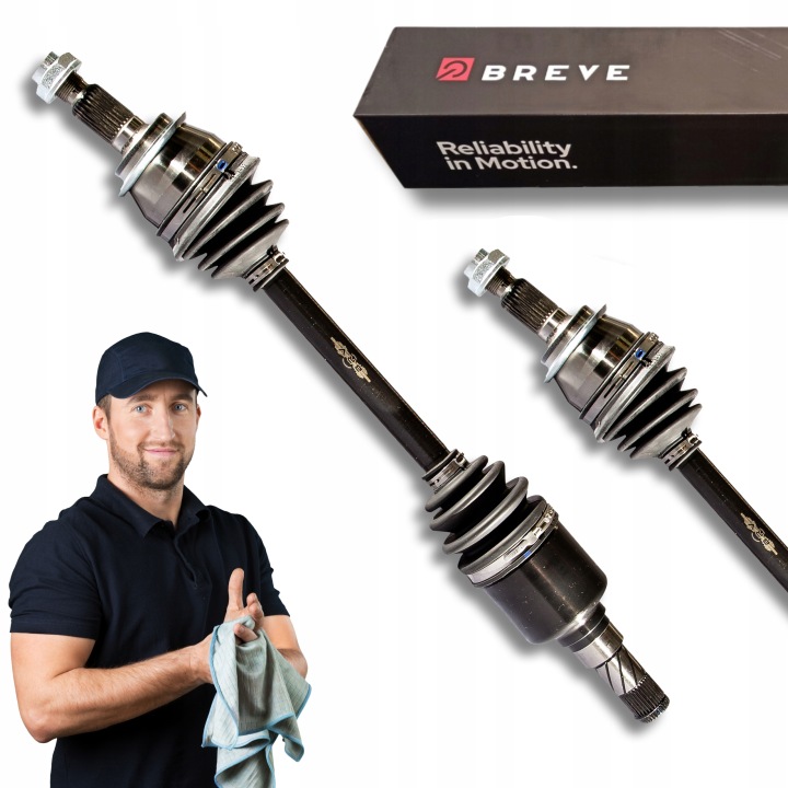 BRV B607 DEMI-ARBRE