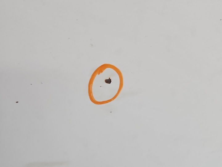 CAPOT AVANT VW LT II 96-06 BLANC
