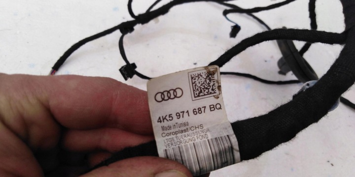 AUDI RS6 4K C8 UNIVERSEL FAISCEAU DE CÂBLES INSTALLATION ÉLECTRIQUE PORTES 4K5971687BQ