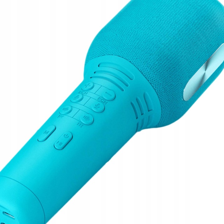 RS-385 12V BROSSE MOTEUR COURANT STALEGO HAUTES À