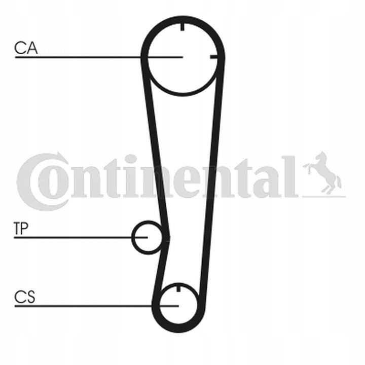 CORREA DISTRIBUCIÓN CONTINENTAL CTAM CT738 