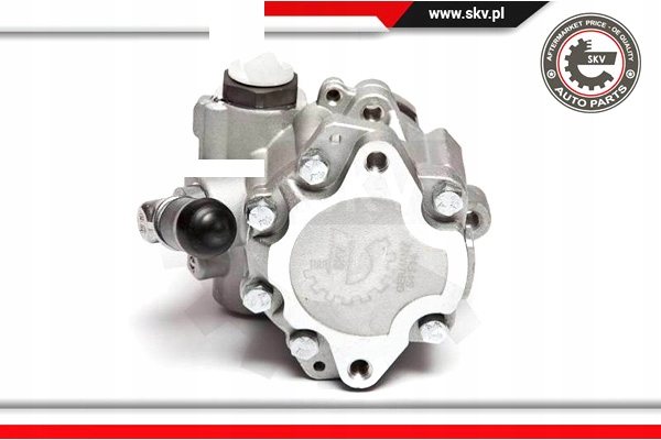 POMPE AMPLIFICATEUR 10SKV018 DSP112 95 FORD GALAXY SEAT LEON VW BORA