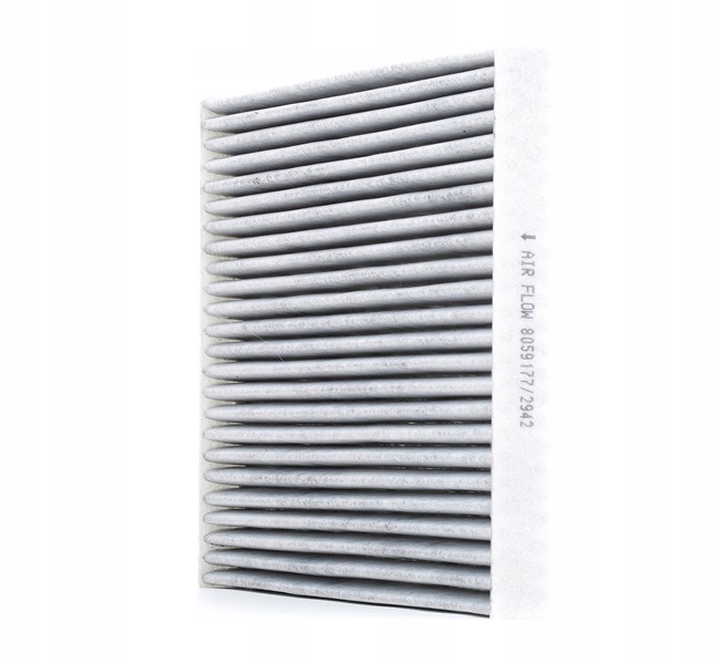 RIDEX 424I0206 FILTRE VENTILATION ESPACES PASAZERSKIEJ
