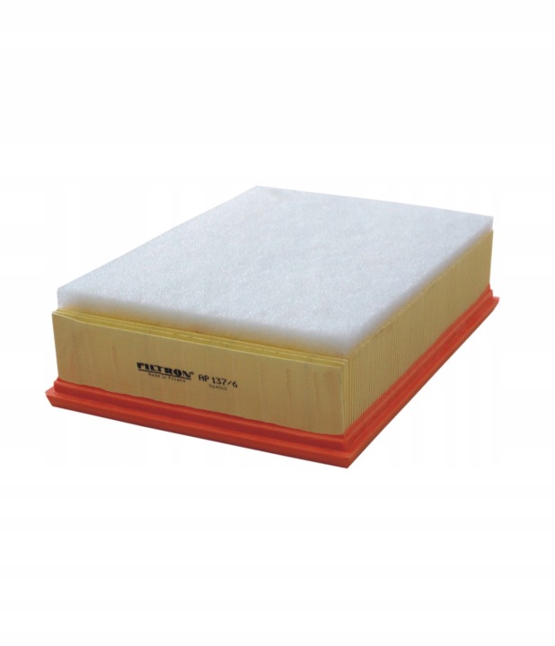 FILTRE AIR AP137/6/FIL
