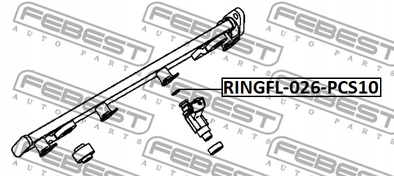 ZESTAWY REPARACIÓN WTRYSKIW FEBEST RINGFL-026-PCS10 