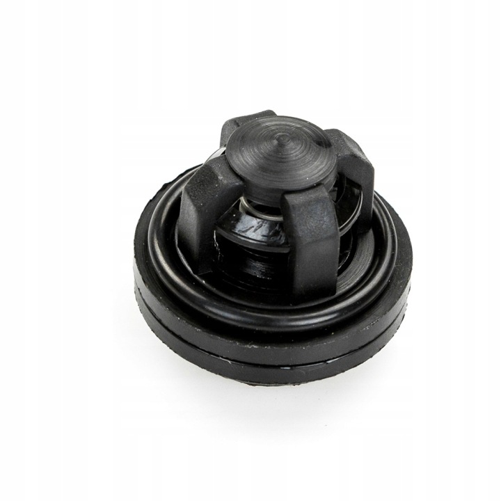 SOUPAPE POMPES 4031/12-006/0, AP29P40