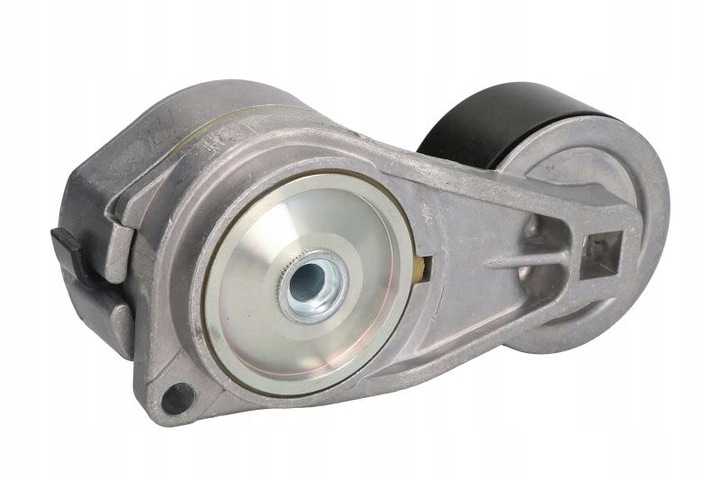 SKF VKMCV 56010 ROLLO TENSOR SCANIA 