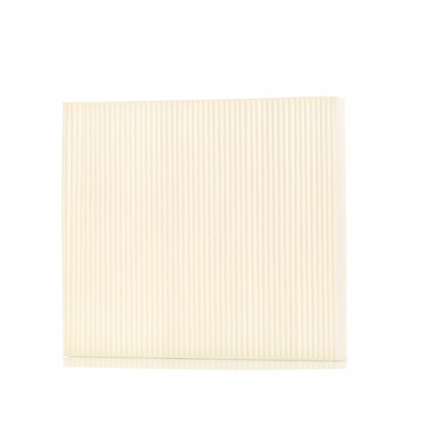 STARK SKIF-0170028 FILTRE VENTILATION ESPACES PASAZERSKIEJ FILTRE