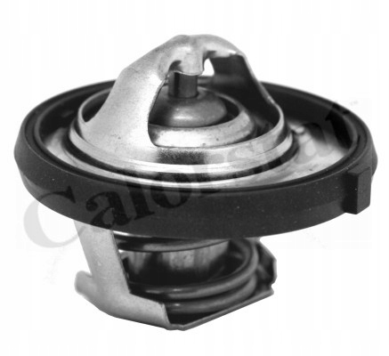 TEMPERATURE REGULATOR CALORSTAT BY VERNET TH7311.95J photo 2 - milautoparts-fr.ukrlive.com