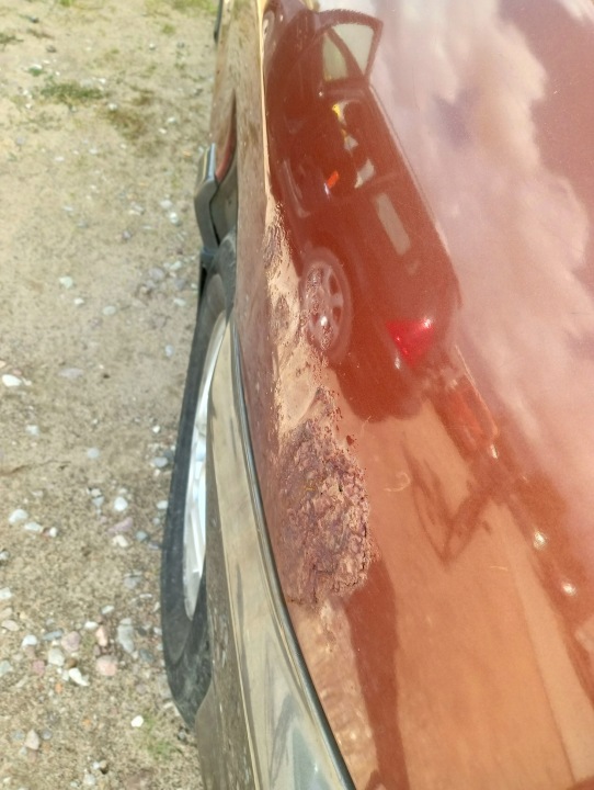 HYUNDAI SANTA FE I 2004 AILE DROIT AVANT AVANT