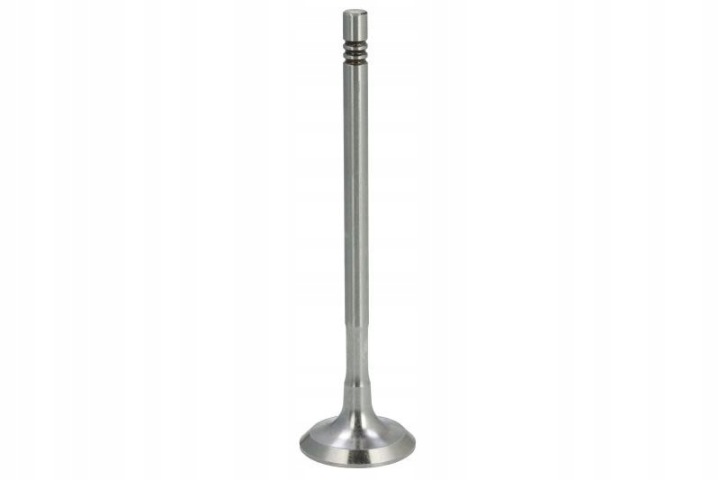 FRECCIA R8110/S SOUPAPE SS. RENAULT 1.0TCE 12V