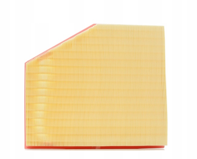 RIDEX 8A0450 FILTRE AIR