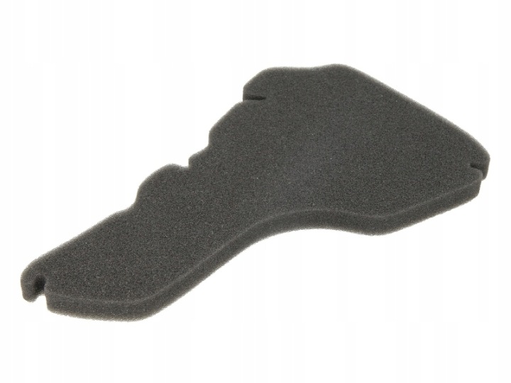 FILTRE AIR RMS RMS 10 060 0421