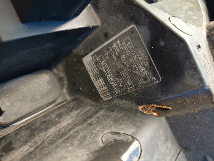 PHARE GAUCHE AVANT AVANT FORD TRANSIT MK7 14R. EUROPE