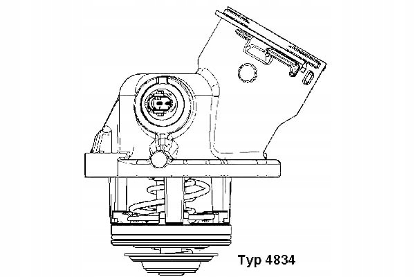 TEMPERATURE REGULATOR WAHLER TM45100D A22485 photo 2 - milautoparts-fr.ukrlive.com