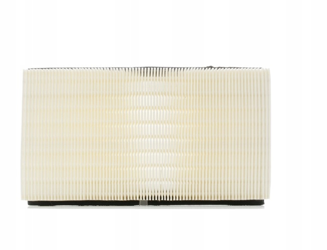 RIDEX 8A0118 FILTRE AIR