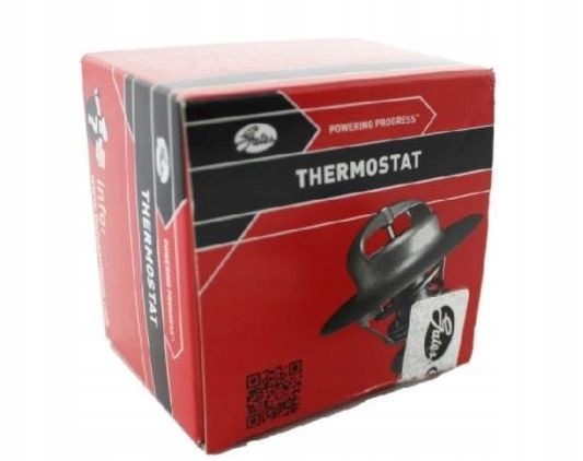 THERMOSTAT RENAULT