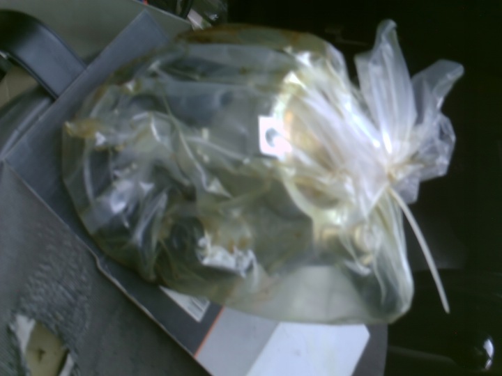 OPEL ASTRA F1 1,4-2,0,CALIBRA2,0 16V,VECTRAA1,6 -2,0 POMPAWSPOMAGANIAWYS24H