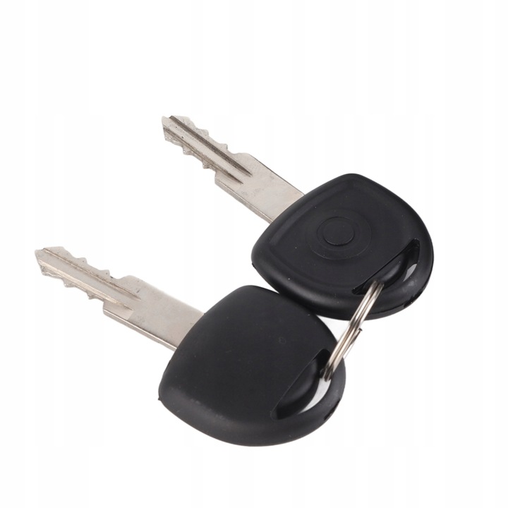 COMMUTATEUR ALLUMAGE 90191412 AUTOMOTIVE IGNITION DÉMARREUR SWITTER AVEC 2 D0