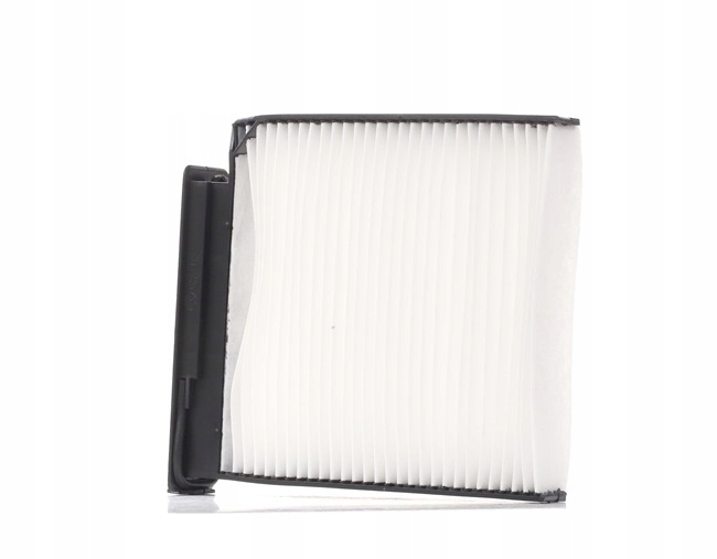 RIDEX 424I0245 FILTRE VENTILATION ESPACES PASAZERSKIEJ VERS DACIA DUSTER