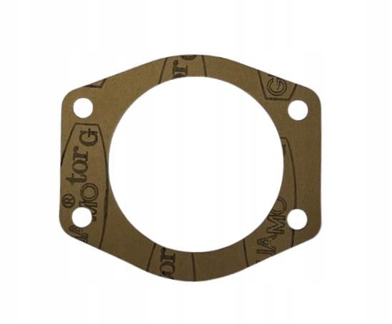 POMPE À EAU LANDINI MASSEY FERGUSON 317301A1