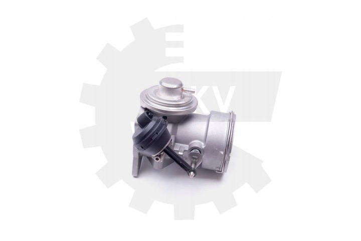 ESEN SKV 14SKV091 SOUPAPE AGR