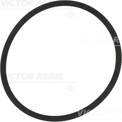 FORRO VICTOR REINZ 71-34204-00 