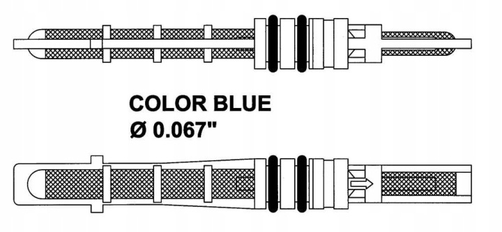 BUSE DLAWIACA BLEUE