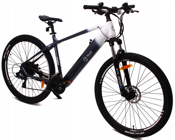 21 Speed Mountain Everest 29 Inch Mountain Bike Everest 21 Speed
