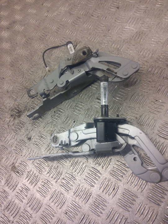 CHARNIÈRES CAPOTS PEUGEOT RCZ YM17301780