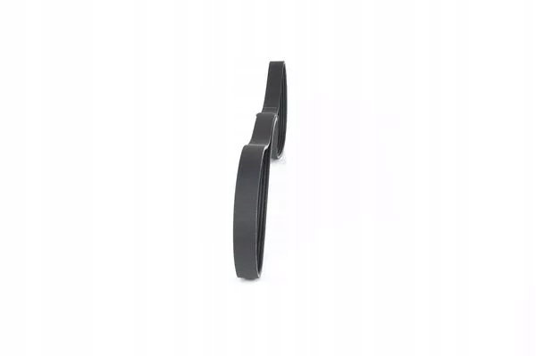 COURROIE WIELOROWK. 6PK1885